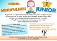 Cercul Mindfulness Junior 